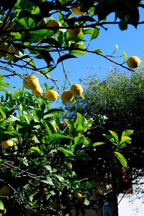 Il Giardino Bed & Breakfast Grottaglie Eksteriør bilde